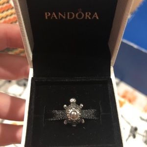 Turtle pandora charm